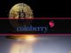 Coinberry's Software Blunder Costs $3M in Bitcoin: Report