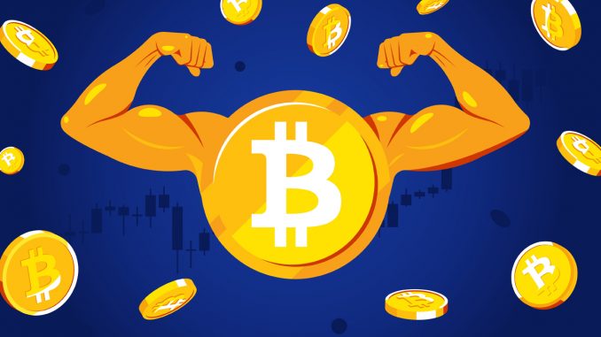 Data Shows Bitcoin's Hashrate Has Grown by More Than 4 Quadrillion Percent Since 2009 – Mining Bitcoin News