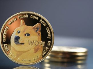Dogecoin Soars Another 8%, Re-Enters Crypto’s Top Ten