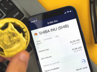 What exactly is happening with Shiba Inu (SHIB/USD)?