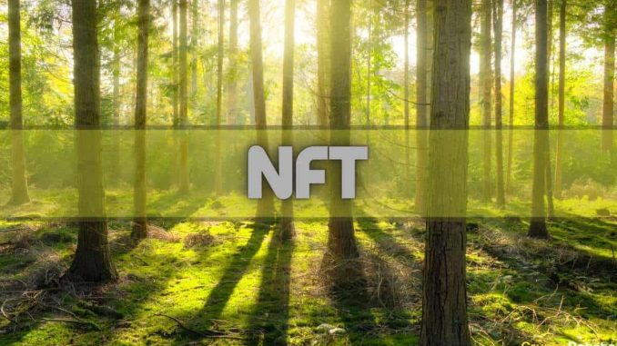 ETH NFT Activity Up Only for 5 Weeks in a Row: Data