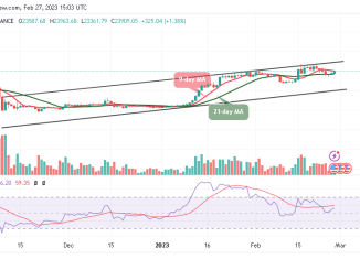 Bitcoin Price Prediction for Today, February 27: BTC/USD Sets to Hit $24k Level
