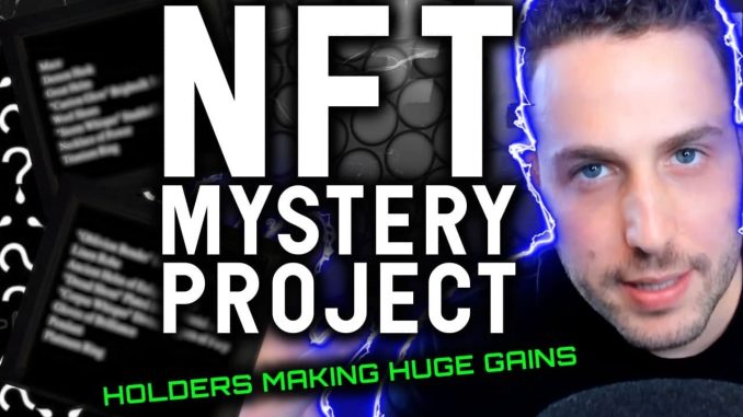 Most interesting NFT project creates HUGE gains for holders!! Cryptocurrency News & Insights