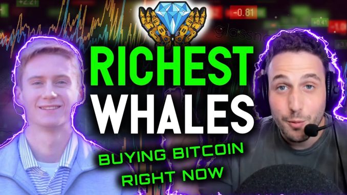 RICHEST BITCOIN WHALES BUYING NOW! On chain data reveals the truth