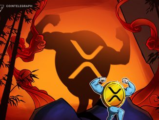 SEC’s appeal won’t be a setback for XRP holders — Pro XRP lawyer