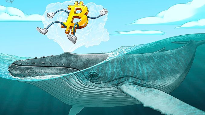 BTC price levels to watch as Bitcoin whales ‘lure’ market to $42K