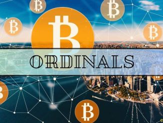 This Bitcoin Ordinals Inscription Was Sold for the Highest Price Ever