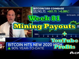 Week 81 | Mining Payouts 11/01/20