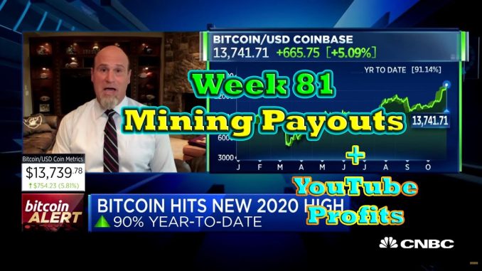 Week 81 | Mining Payouts 11/01/20