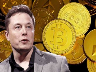 Bitcoin Elon Musk
