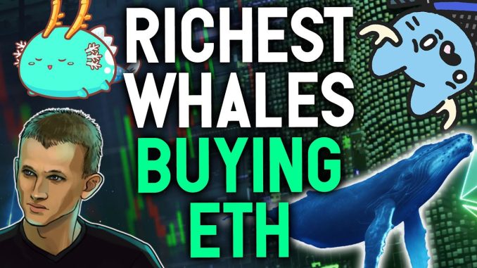RICHEST WHALES ARE BUYING ETHEREUM! I started buying too! My strategy explained.