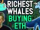 RICHEST WHALES ARE BUYING ETHEREUM! I started buying too! My strategy explained.