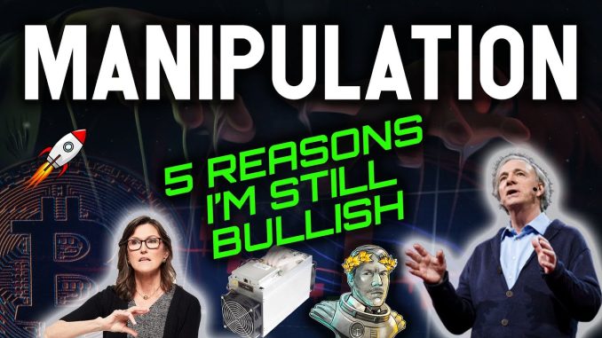 WARNING MANIPULATION! 5 REASONS WHY I'M STILL BULLISH!