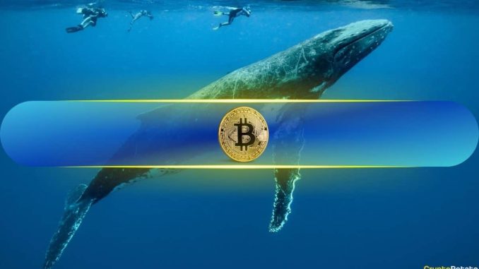 Are Bitcoin Whales Taking Profits?