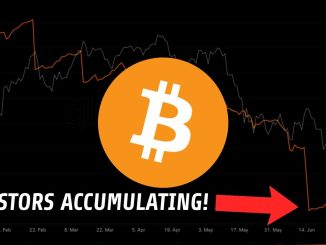 Bitcoin Insider | The Whales Aren't Selling