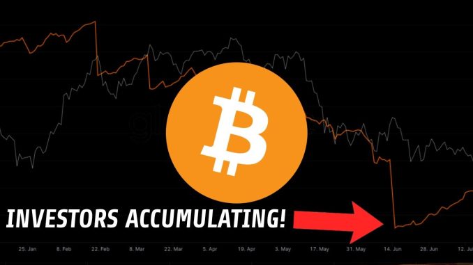 Bitcoin Insider | The Whales Aren't Selling