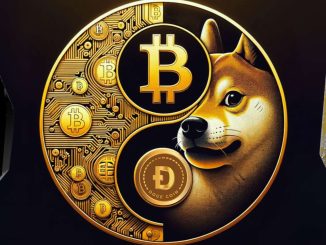 Doge Mirrors the Hyped Bitcoin Ordinals Runestone Airdrop