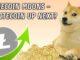 Dogecoin Rallies | Is Litecoin Next?