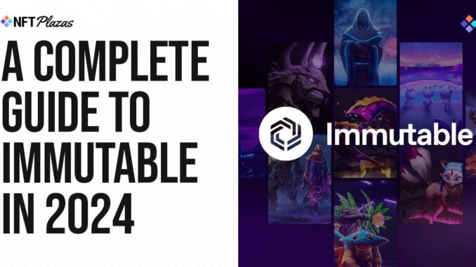 A Complete Guide to Immutable in 2024