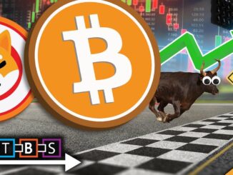 Bitcoin and Shiba Inu Smash All Time High (Crash or Super Gains Ahead?)