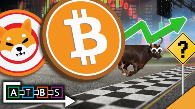 Bitcoin and Shiba Inu Smash All Time High (Crash or Super Gains Ahead?)