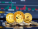 RCOF Pulls Over $2 Million from Dogecoin and Shiba Inu Investors, RCO Finance Becomes the Best Crypto Presale of 2024?