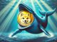 Shiba Inu whales