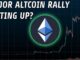 The December "Altcoin Boom" | Here's What You Need To Know