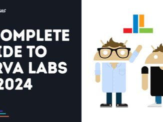 A Complete Guide to Larva Labs in 2024