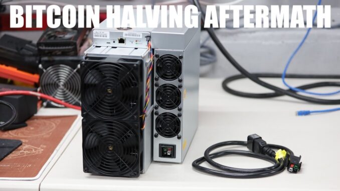 BITCOIN HALVING AFTERMATH! average block reward 12.7 BTC past 24 hours INSANE!