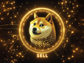 Dogecoin, the XRP Price, and the RCO Finance Presale Token Could See Bigger Gains in Q4 2024, Here’s Why