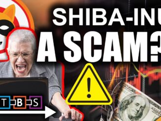 Is Shiba Inu A SCAM??!!! (Hottest Crypto Is On Fire)