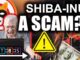 Is Shiba Inu A SCAM??!!! (Hottest Crypto Is On Fire)