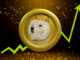 Rookie Dogecoin Trader that Turned $1000 to $1M Unveils Next Big Bet Aiming for a 12,000x Bull Run by Q1 2025