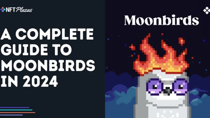 A Complete Guide to Moonbirds in 2024