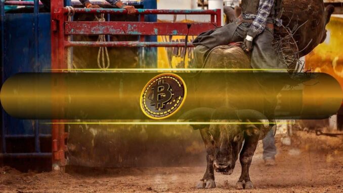 Bitcoin Likely to Enter New Bull Market If This Happens: CryptoQuant