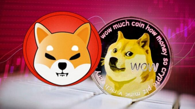 Dogecoin and Shiba Inu