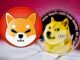 Dogecoin and Shiba Inu