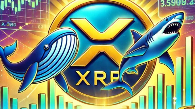 XRP Price