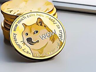 Dogecoin founder