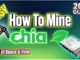 How to Mine Chia (Easy & Simple) | 2021 Guide