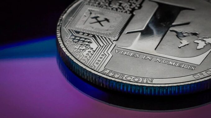 Litecoin Outpaces Dogecoin and Cardano in This Important Metric