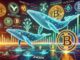 Memecoins Follow Bitcoin Whales Flock to Crypto All Stars