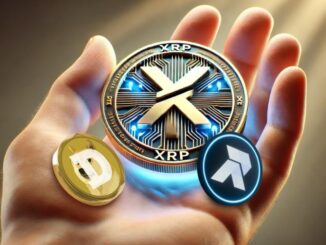 XRP Price Vs. Dogecoin Vs. RCO Finance: Which Token Will Deliver The Highest ROI By 2025