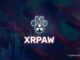 XRPAW MEME Presale Gains Massive Momentum, As Investors Rush to Join The Next Viral Memecoin on XRP Network