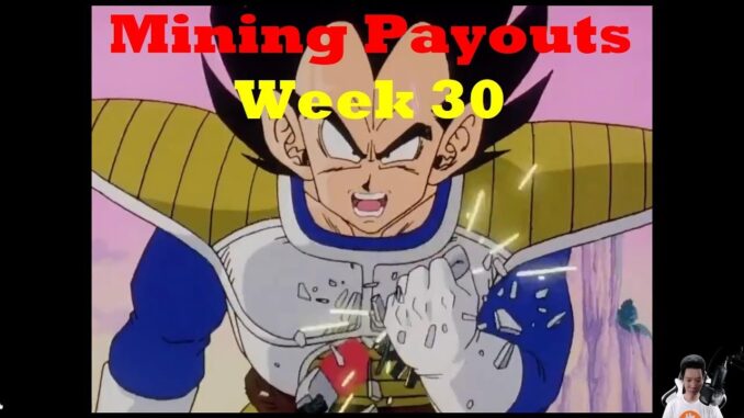 Week 30 - Mining Payouts 06/20/19