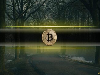 What Are Bitcoin’s Critics Really Afraid of?